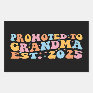Promoted To Grandma Est. 2025 III Rectangular Sticker