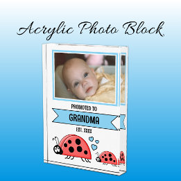 Promoted to grandma ladybugs blue photo block