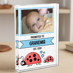 Promoted to grandma ladybugs blue photo block