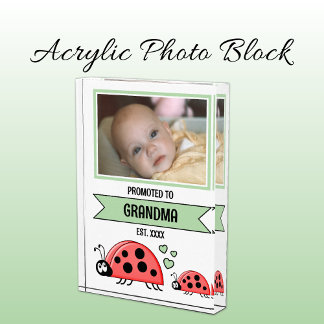 Promoted to grandma ladybugs green photo block