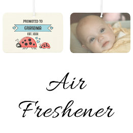 Promoted to grandma ladybugs photo blue car air freshener