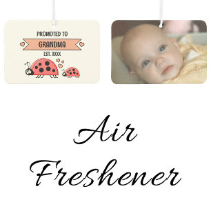 Promoted to grandma ladybugs photo peach car air freshener