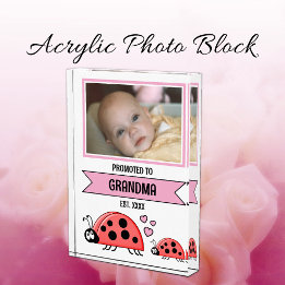 Promoted to grandma ladybugs pink photo block