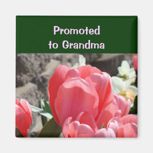 Promoted to Grandma magnet Pink Tulip Flowers