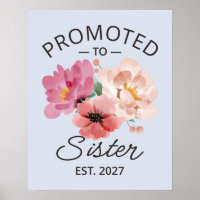 Promoted To Sister Est 2027 Big Sister VI