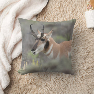 Pronghorn Antelope Buck Grand Tetons Cushion