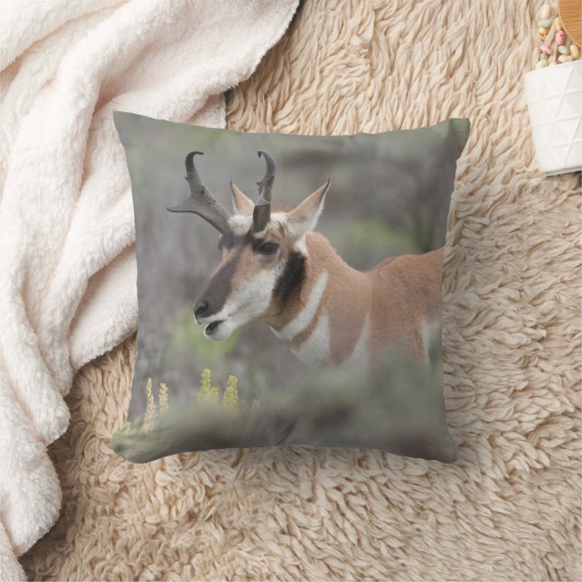 Pronghorn Antelope Buck | Grand Tetons Cushion (Blanket)
