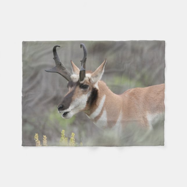 Pronghorn Antelope Buck | Grand Tetons Fleece Blanket (Front (Horizontal))