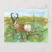 Pronghorn Antelope Desert Landscape Watercolor