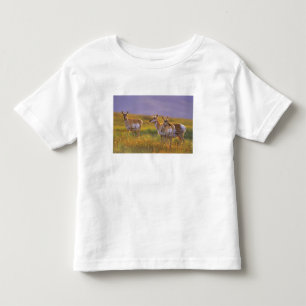 Pronghorn Antelope in Montana Toddler T-Shirt