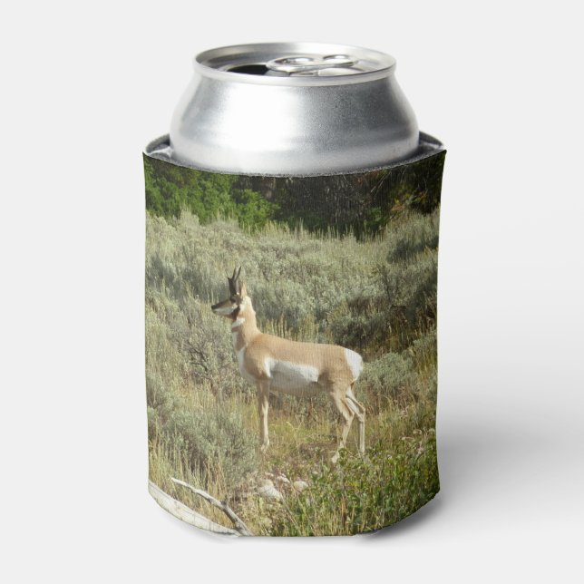 Pronghorn at Grand Teton National Park Can Cooler (Can Front)