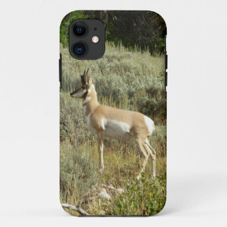 Pronghorn at Grand Teton National Park Case-Mate iPhone Case