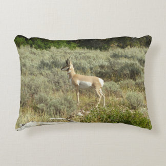 Pronghorn at Grand Teton National Park Decorative Cushion