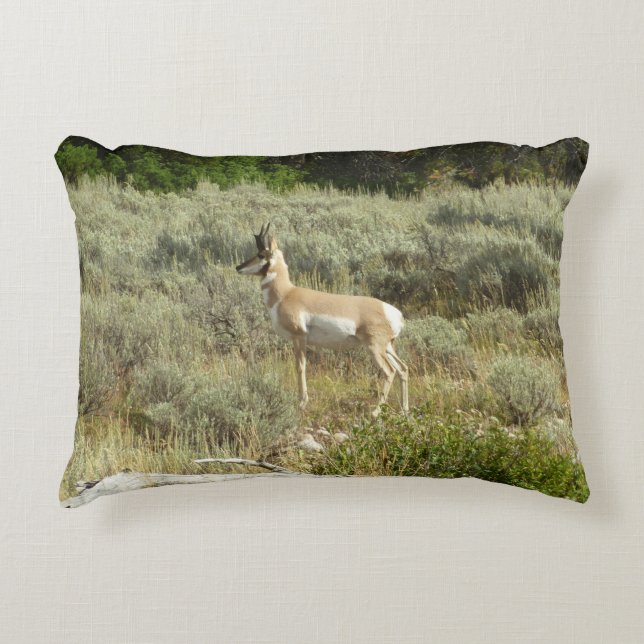 Pronghorn at Grand Teton National Park Decorative Cushion (Front)