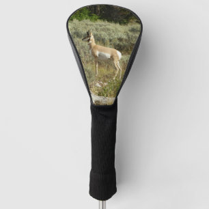 Pronghorn at Grand Teton National Park Golf Head Cover