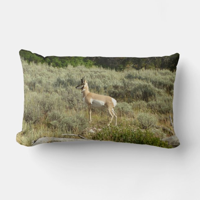 Pronghorn at Grand Teton National Park Lumbar Cushion (Front)