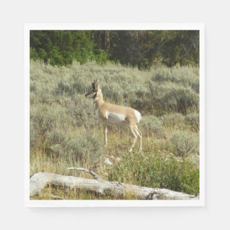 Pronghorn at Grand Teton National Park Napkin