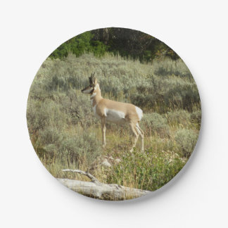 Pronghorn at Grand Teton National Park Paper Plate