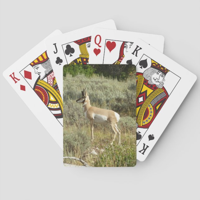 Pronghorn at Grand Teton National Park Playing Cards (Back)