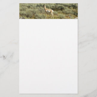 Pronghorn at Grand Teton National Park Stationery
