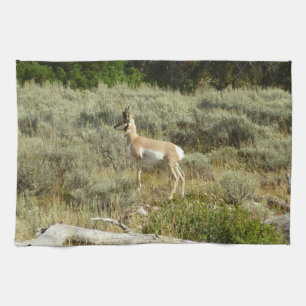Pronghorn at Grand Teton National Park Tea Towel