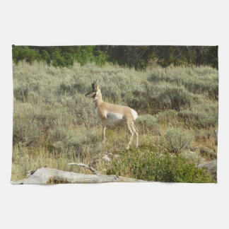 Pronghorn at Grand Teton National Park Tea Towel