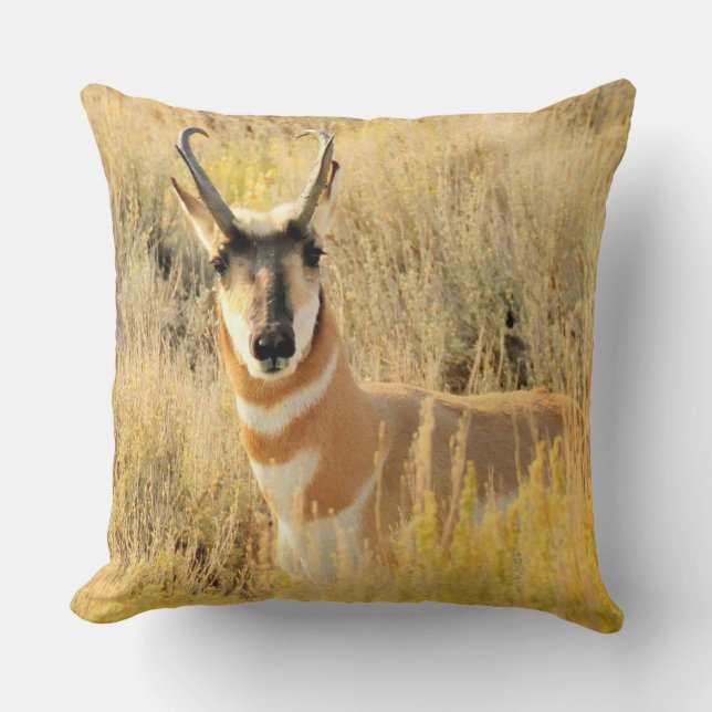 Pronghorn Buck Cushion (Front)