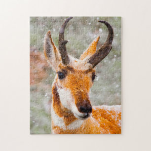 Pronghorn Deer Wyoming. Jigsaw Puzzle