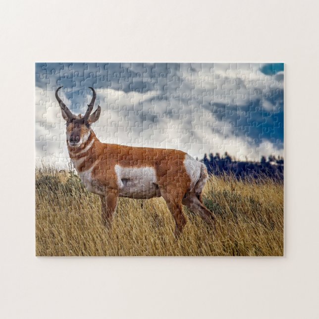 Pronghorn Deer Wyoming. Jigsaw Puzzle (Horizontal)