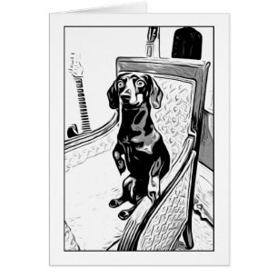 proper dachshund
