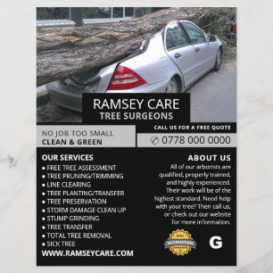Property Damage - Tree Surgeon - Arborist Flyer