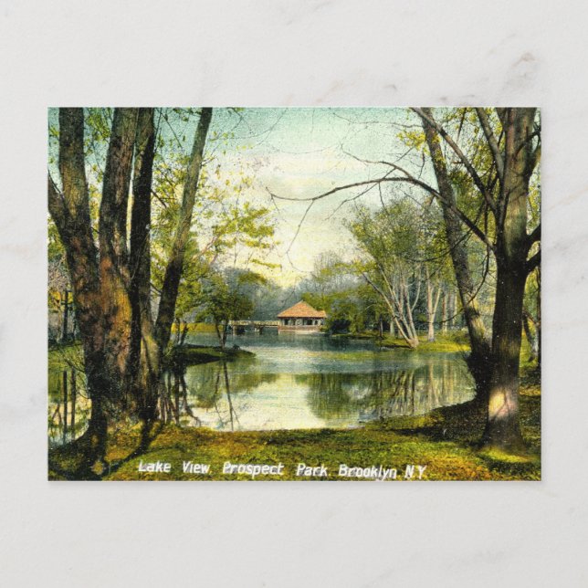 Prospect Park, Brooklyn NY, 1908 Vintage Postcard (Front)