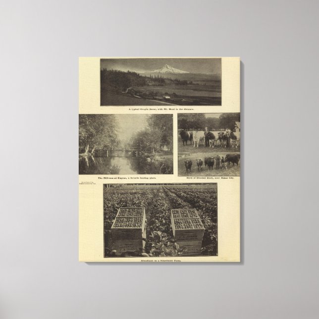 Prosperity, plenty in Oregon Canvas Print (Front)