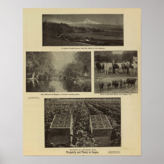 Prosperity, plenty in Oregon Poster (Front)