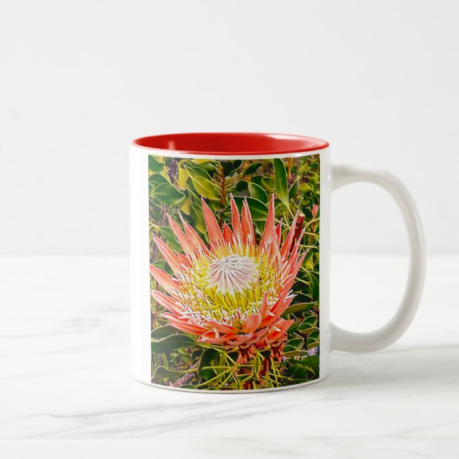 Protea Australian flower photography Two-Tone Coffee Mug (Right)