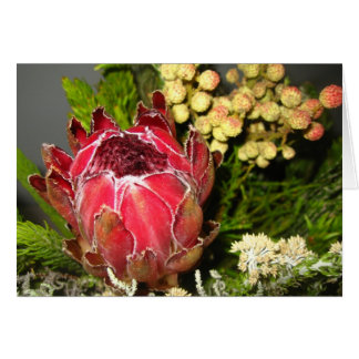 Protea Bouquet