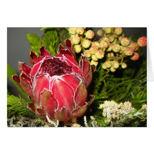 Protea Bouquet (Front Horizontal)