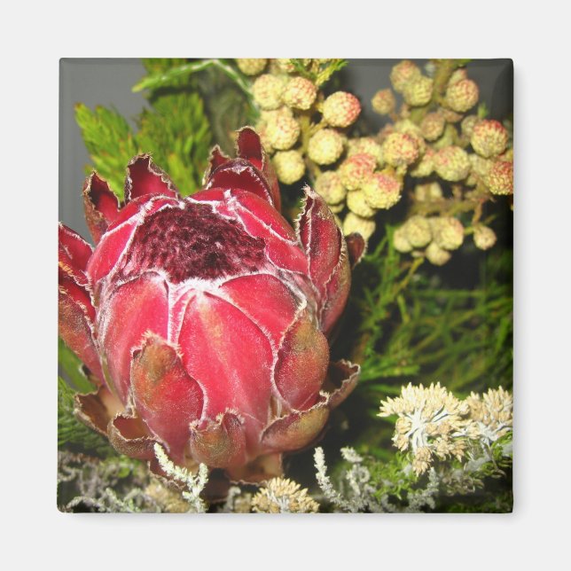 Protea Bouquet Magnet (Front)