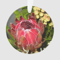 Protea Bouquet