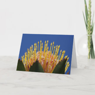 Protea flower card