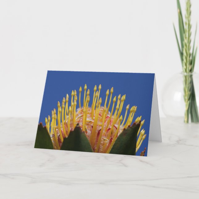Protea flower card (Front)