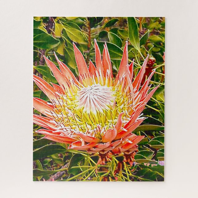 Protea flower puzzle (Vertical)