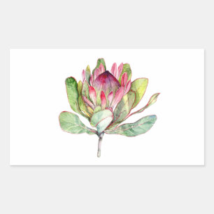 Protea Flower Rectangular Sticker