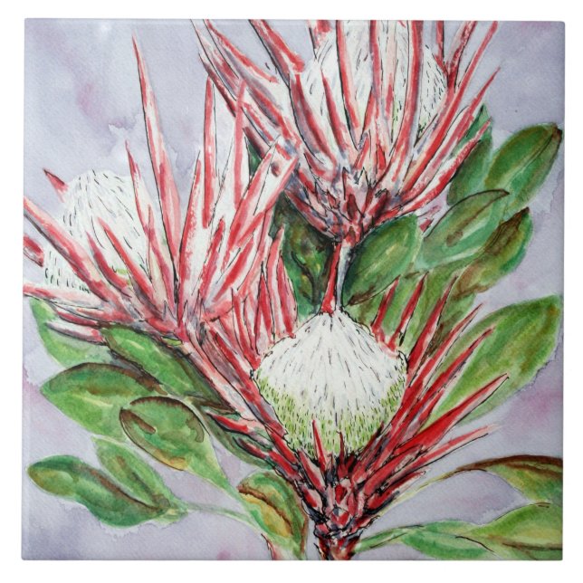 Protea Flowers Tile (Front)