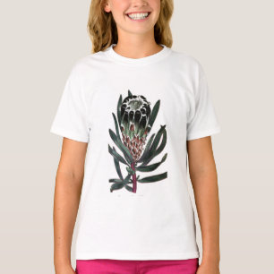 Protea Lepidocarpon T-Shirt