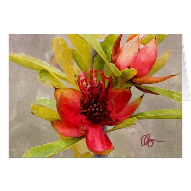 Protea Love (Front Horizontal)