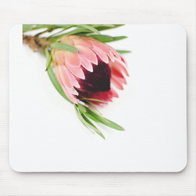 Protea Mouse Pad (Front)