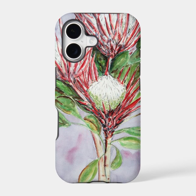 Proteas (Back)
