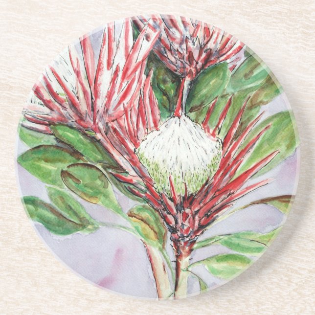 Proteas Coaster (Front)