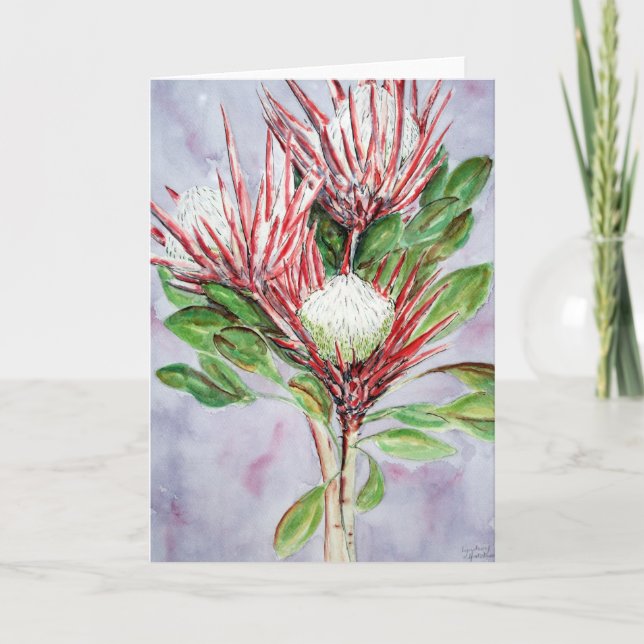 Proteas Holiday Card (Front)